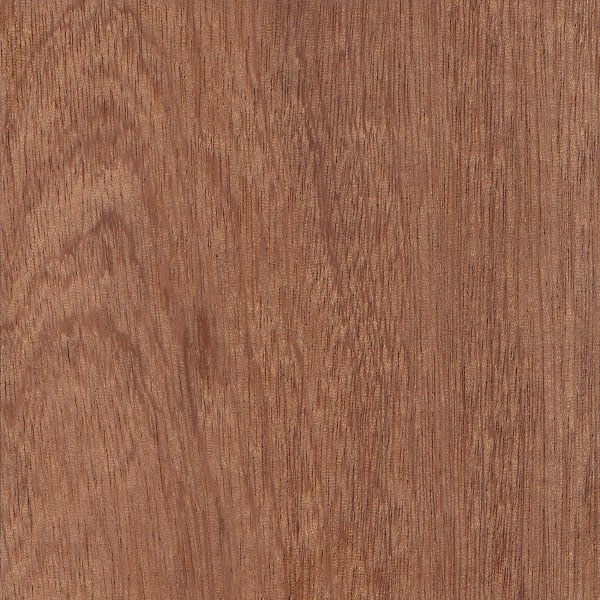 Main 1 - SAPELE, Boule, Air Dried, 9/4 -