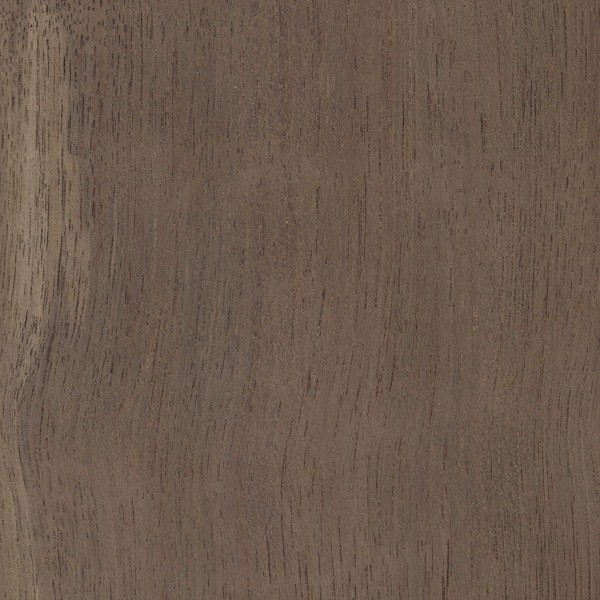 Peruvian Walnut - Townsend