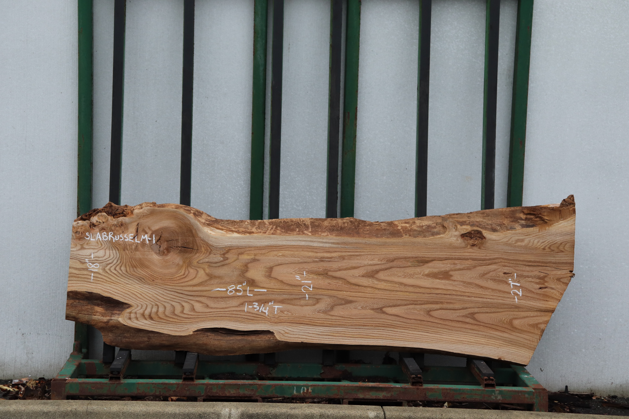 Russian Elm Slab, Air Dried - Townsend