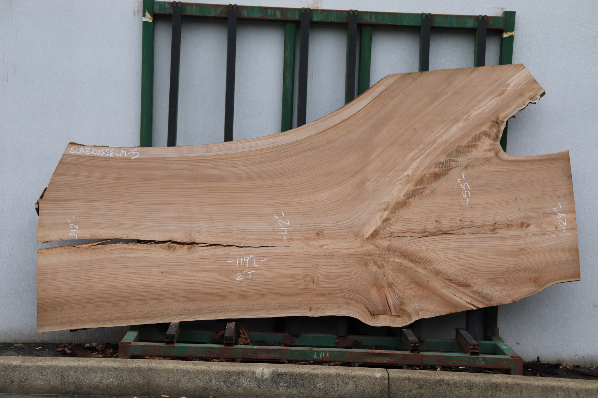 Russian Elm Slab, Air Dried - Townsend