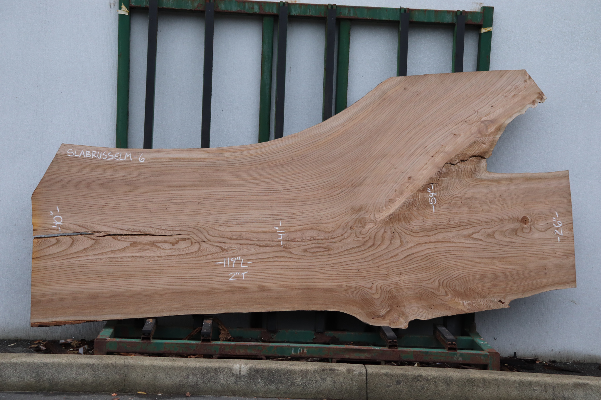 Main 1 - Russian Elm Slab, Air Dried -